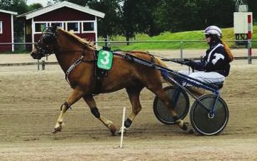 rt, vita stjärnor; svart elbååth Isabella IVO,svsk. v. e ikas ueperstar Cenise e rihems Alot Runeår Denise Ä: Thybeck Bo, inesber blå, vitt axelp, mblå romber; svart Normark Tybeck ax a RO IADORA,sv.