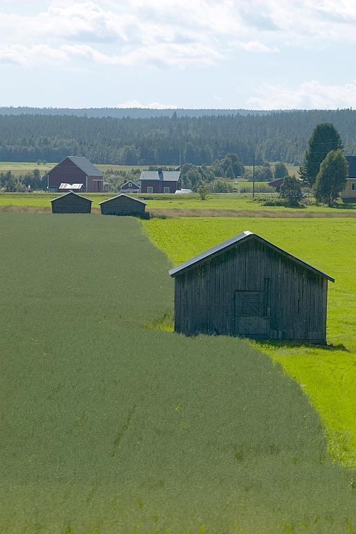 Omvärldsstudie Översiktligt studera exempel på hur ersättningar för skötsel av kulturmiljöer har utformats i några EU-medlemsstater Sammanfatta huvuddragen i ersättningarnas utformning samt