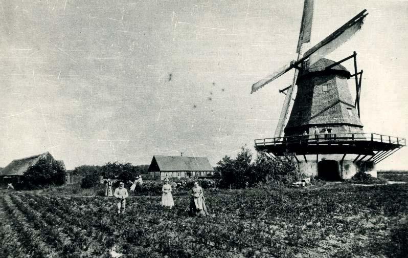 Möllan på ett fotografi från 1890. De gamla fönstren finns kvar i bölet.