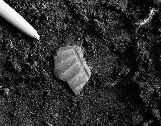 Gravar och boplatser på Forshälla-Berg 13 Figur 9. Kulspetspennan pekar mot keramiken som påträffades i den nyupptäckta flatmarksgraven. Lodfoto taget av Robert Hernek.