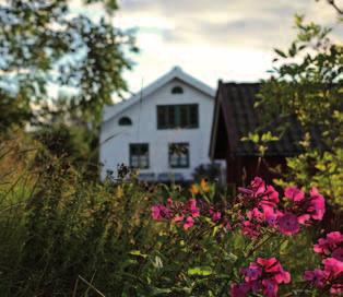 att fördjupa frågeställningen genom mer detaljerade utredningar och beskrivningar.