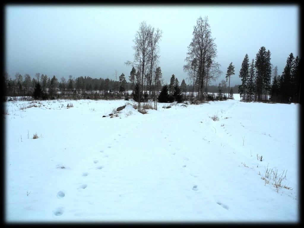 Överlappfors sjöar (Dal 5:50)