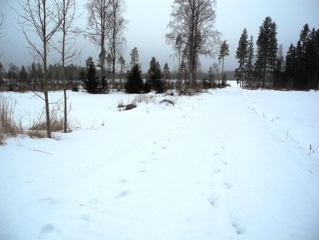 6 Bild 5. Den tilltänkta byggplatsen sedd från landsidan (öster). 3. Planeringssituation 3.