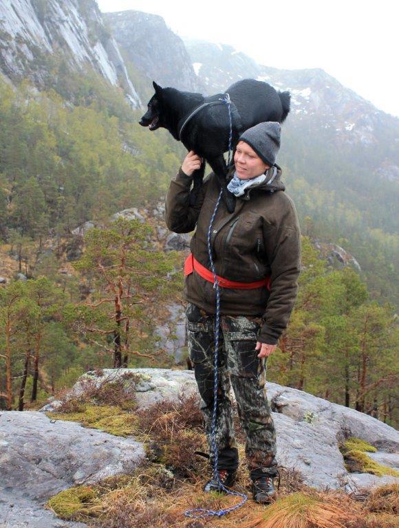 Norsk älghund svart används huvudsakligen som ledhund/bandhund på klövvilt. Inledning Denna publikation är tänkt som ett hjälpmedel för auktoriserade domare som dömer älghundsraser på utställning.