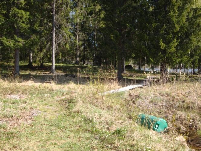 våtmarken. Spången byts ut mot en bro med förslagsvis ett räcke på sidan mot sjön.