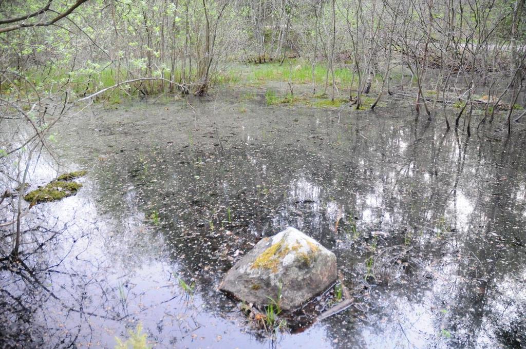 UPPDRAG Utredningar MKB Västra Sömsta UPPDRAGSNUMMER 1186619100 UPPDRAGSLEDARE Jennie Brundin UPPRÄTTAD AV Anders Selmer DATUM Groddjursinventering