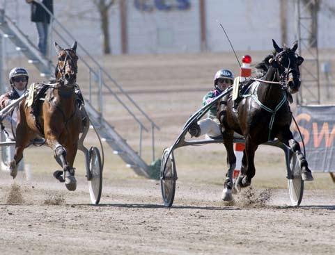 090411 Andra gången gillt för B.W.L.Power Efter lite problem i tävlingsdebuten fick B.W.L.Power visa vart skåpet skulle stå. I sin andra start blev det nämligen seger.