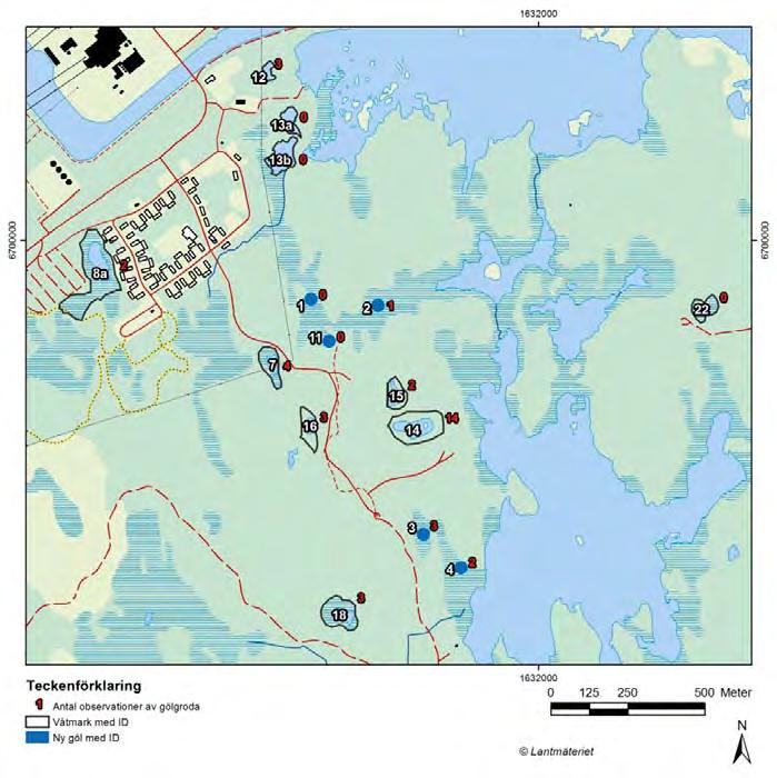 Figur 2 2. Kartan visar de gölar i Forsmark där gölgroda inventerats 2012. Vita siffror anger gölnummer. Röda siffror anger antalet inventerade vuxna djur. 2.2.1 Inventeringen Varje göl observerades under minst en timmes tid, under tiden som räkning av gölgrodor gjordes var femte minut.