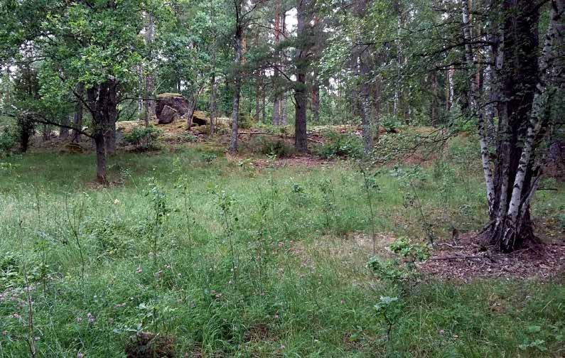 Plats 3: Boplats från järnåldern FORNTIDSVANDRING NÄRA STAN PLATS 3 Boplats från järnåldern I kanten av skogen finns en glänta. Här bodde det människor under järnåldern.