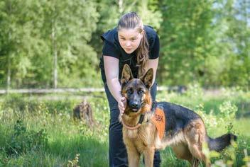 Hundar är en framtidsbransch som växer - inte bara en hobby!