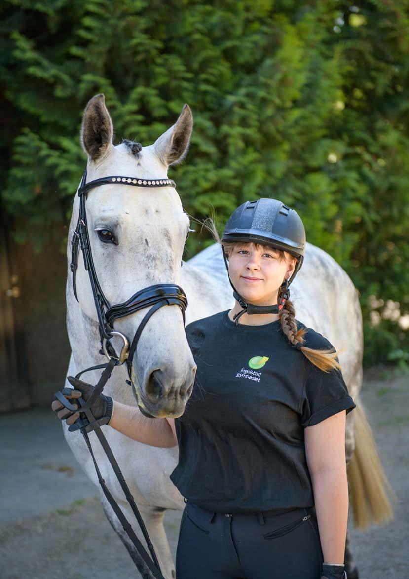 Naturbruksprogrammet RIDSPORT Programplan Ridsport 2500 Gymnasiegemensamma ämnen 600 p Engelska 5 Svenska 1 Matematik 1a Idrott och hälsa 1 Naturkunskap 1a1 Religionskunskap 1 Samhällskunskap 1a1