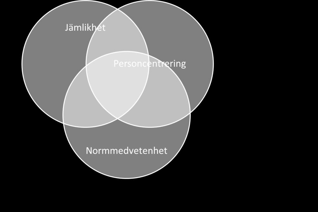 bemötande och tillgång till vården (Nationell plattform för jämlik hälsa och vård; SKL, 2015) Ojämlikhet ett hot mot vår sjukvård (Kommissionen för jämlik vård, 2015) (Effektiv vård (SOU 2016:2):