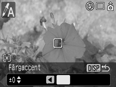 2. Färgaccenteffekten aktiveras. 3. Kamerans färginmatningsfunktion aktiveras, och på displayen visas originalbilden och färgaccentbilden (med den färg som har angetts tidigare) växelvis.