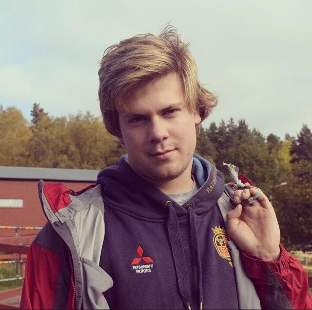 Styrelsen
