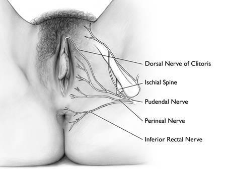 Neurologi