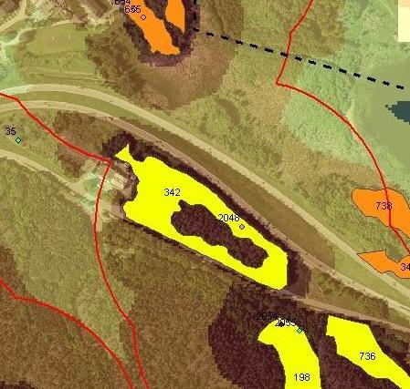 Vegetation inom detaljplaneområdet sett från öster (innan träden togs ned i den östra