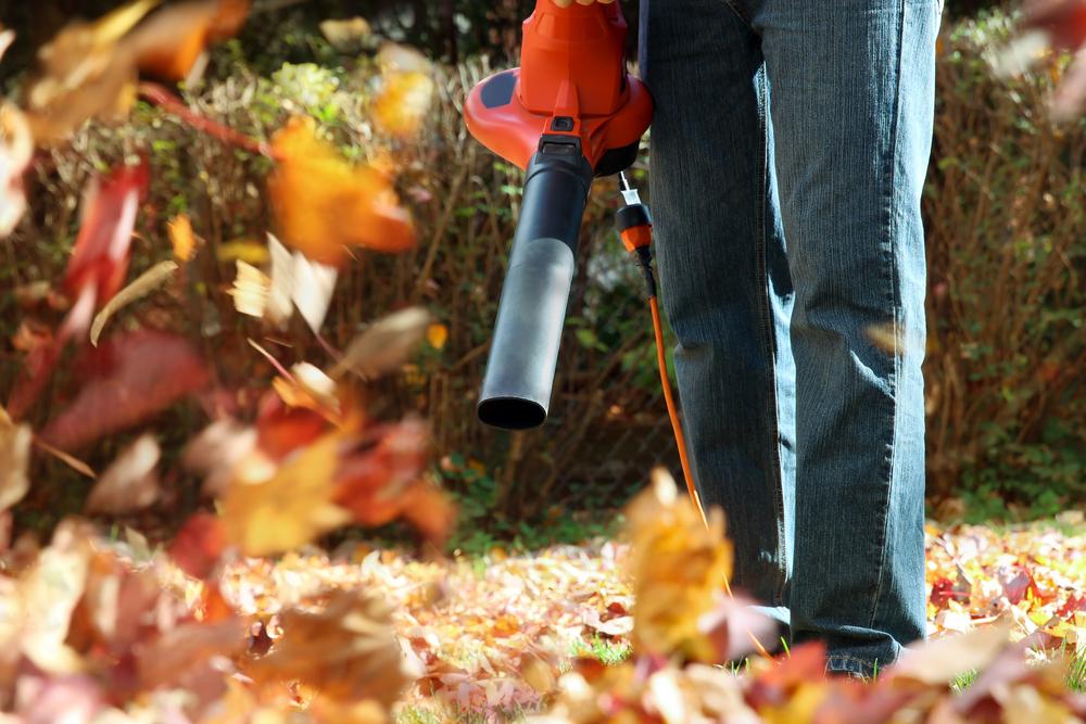 Att ta hand om löv och annat skräp hör hösten till för den som har trädgård. Om du har mycket löv, eller rabatter där det är svårt att komma åt med kratta, kan en lövblås vara till hjälp.