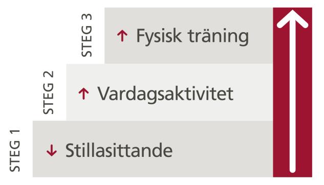 Fysisk aktivitet som behandling 1. Identifiera otillräckligt fysiskt aktiva. 2. Samtala om fysisk aktivitets betydelse utifrån hälsotillstånd, diagnos och sjukdomsförebyggande åtgärd. 3.