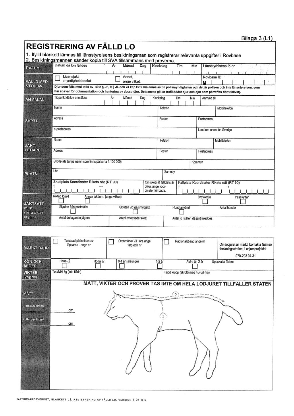 REGISTRERING AV FÄLLD LO 1. Ifylld blankett lämnas till länsstyrelsens besiktningsman som registrerar relevanta uppgifter i Rovbase 2. Besiktnin.smannen sänder ko. ia till SVA tillsammans melproverna.