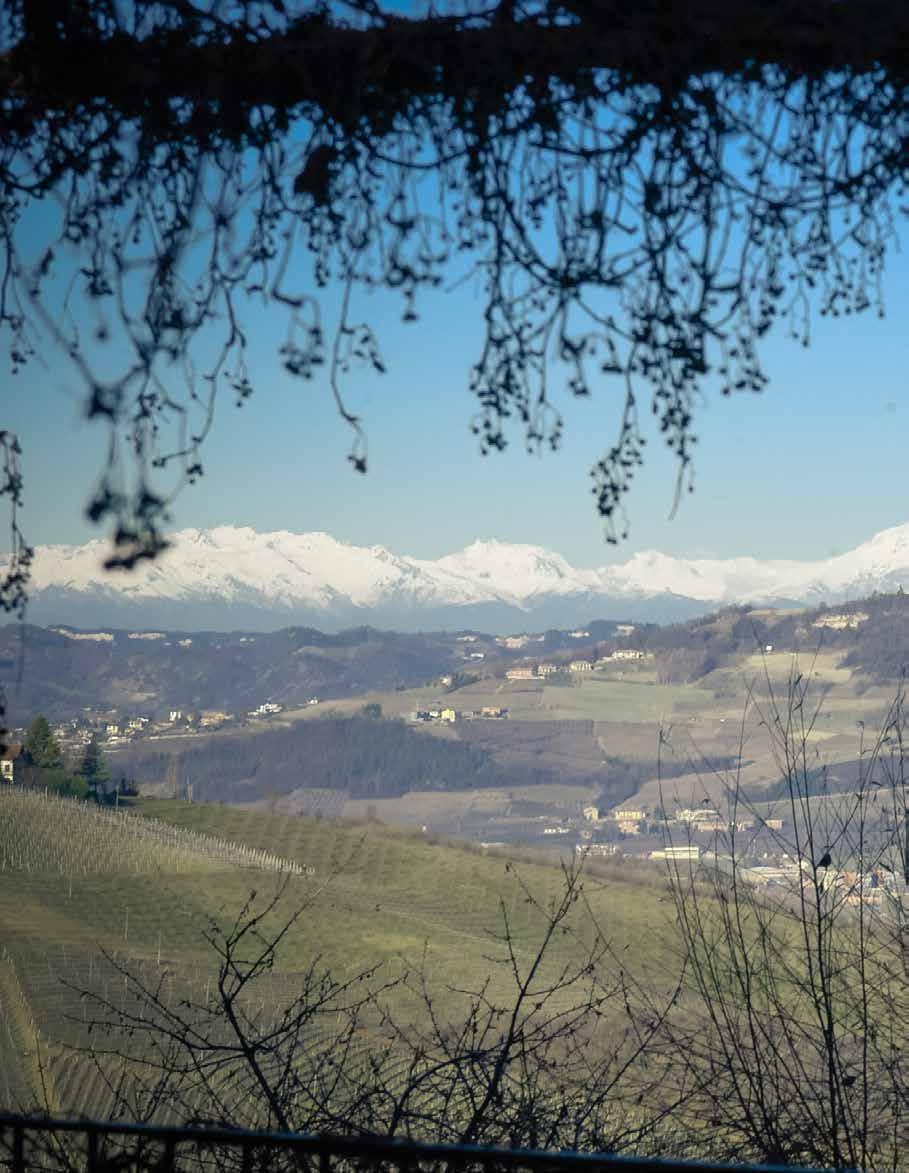 Barolo och Barbaresco Nebbiolo Prima 2013 Nebbiolo Prima är årets höjdpunkt för den som gillar Italien och druvan nebbiolo.