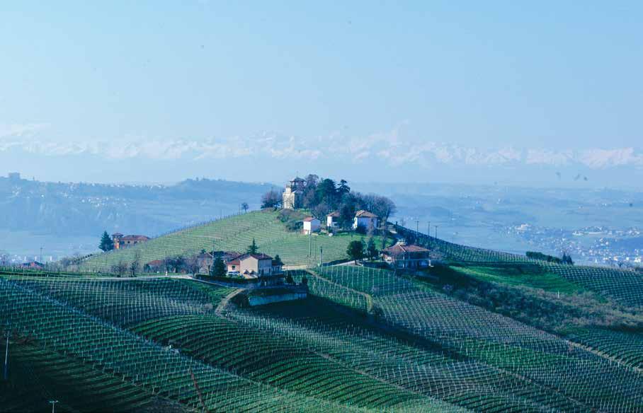 Nebbiolo Prima 2013 2009 Monforte D Alba 2009 Barolo Fratelli Barale Bussia Barale visar framfötterna igen läs ovan om vingården. Jag blir överraskad av den öppna doften.