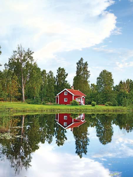 Läget i Sverige: Enskilt avlopp 950 000 hushåll 200 000 olagliga 350 000