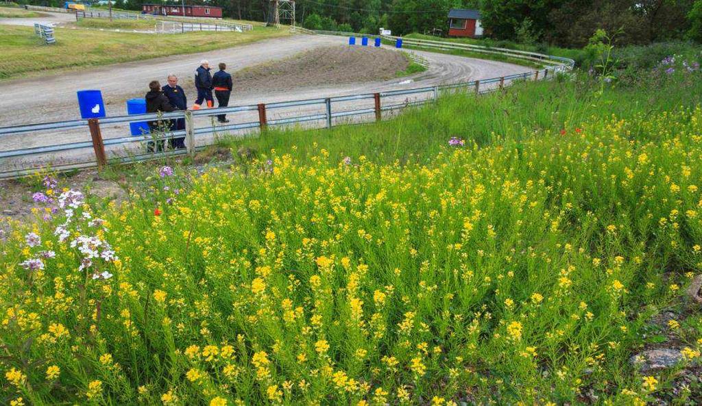 Svenska Motorcykel- och Snöskoterförbundet & Svenska Bilsportförbundet 2 av 27 Motorsportens miljöutmaningar Motorsporten har en mer direkt och greppbar miljöpåverkan som ljud, små synliga