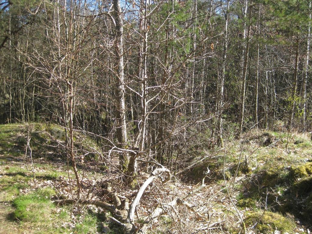 Höjdskillnader och berg i dagen.