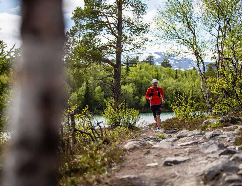 Snabba fakta om turismen i Jämtland Härjedalen Turismen i Jämtland Härjedalen omsatte 4,94 miljarder kronor 2016. Jämfört med 2015 en ökning med 300 miljoner kronor.