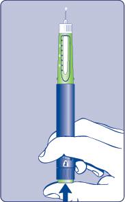 C D Håll pennan med injektionsnålen riktad uppåt och tryck in tryckknappen i botten av pennan helt [E]. En droppe lösning kommer att synas på injektionsnålens spets.