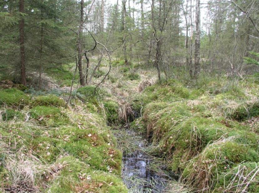 Är restaurering av våtmarker ett svar på frågan om avvägning mellan produktion och miljö?