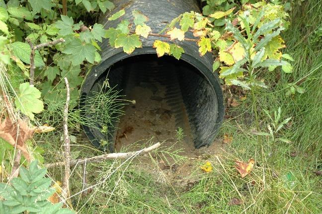 från förorenade områden och