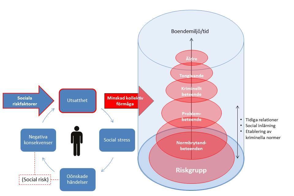 TEORETISK BAKGRUND Bild 5Kriminaliserande process och etablering av kriminell struktur Parallellt med en kriminaliserande process kan det även ske en radikaliserande process.