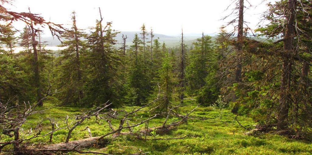 Adaptive Management Landskapsplanering för att främja biologisk mångfald