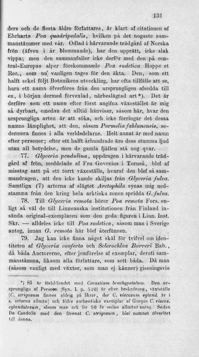 131 ders och de flesta äldre författares, är klart af citationen af Ehrharts Poa quadrvpedalis, hvilken pn det nogaste sammanstämmer med vår.