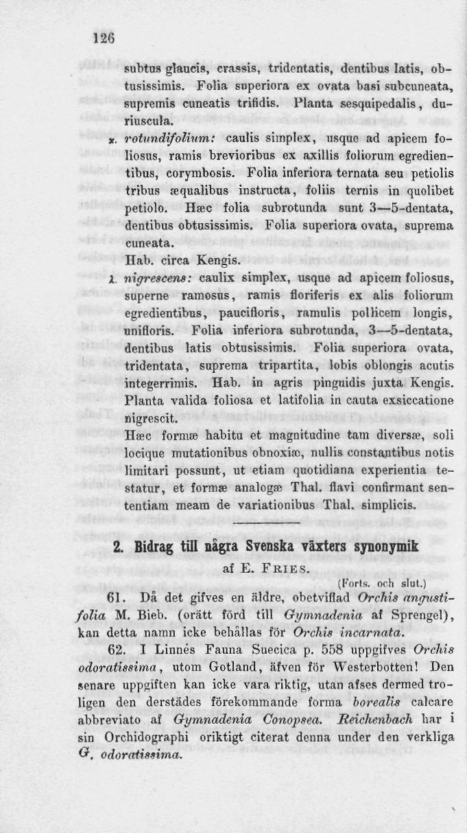 126 subtus glancis, crassis, tridentatis, dentibus Iatis, obtusissimis. Folia snperiora ex ovata basi subcuneata, supremis cuneatis trifidis. Planta sesquipedalis, duriuscula. x.