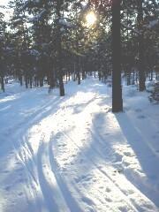 Skidor När du håller den här tidningen i din hand är det några månader sedan spåren smälte bort på Jungfrusunds-åsen och kanske har du inte ägnat skidåkning så många tankar sedan dess.