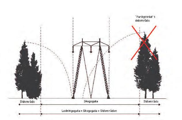 21 ledningsgatan av skogsgata (cirka 44 meter) och sidoområden, se figur 5.