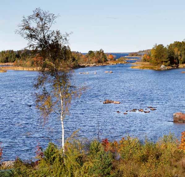 Skaten-Rångsen är ett Natura 2000-område som ligger norr om Forsmark, och består av en mängd stora och små öar.