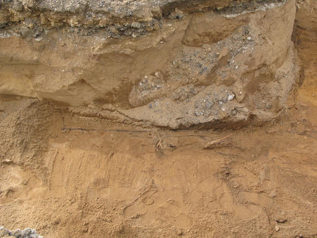 Denna grav var intakt med kranium i västra delen och orienterad i östvästlig riktning.