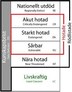 Inledning I Sverige finns nio musselarter som går under namnet stormusslor.