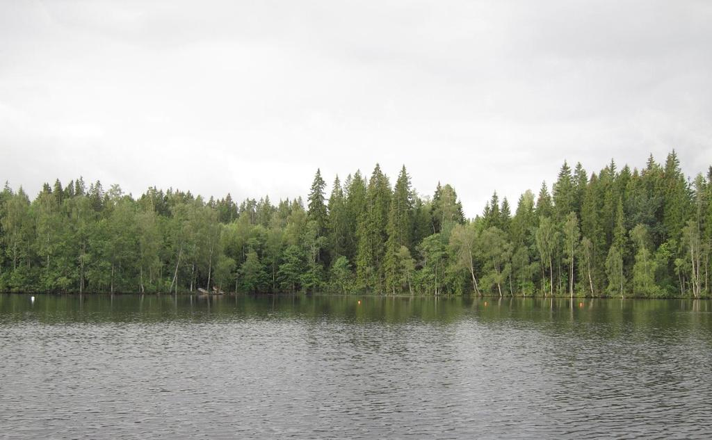 Provfiskeutvärdering Bakgrund OMRÅDESBESKRIVNING Ärnanäsasjön ingår i Lagans vattensystem, Vrigstadsåns delnederbördsområde och är belägen drygt 1,5 kilometer nordost om Stockaryd.