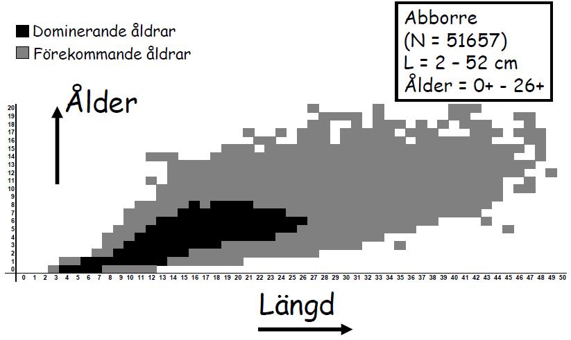 Storlek- och åldersfördelning Nedan presenteras diagram över medellängden hos olika arter vid olika åldrar.