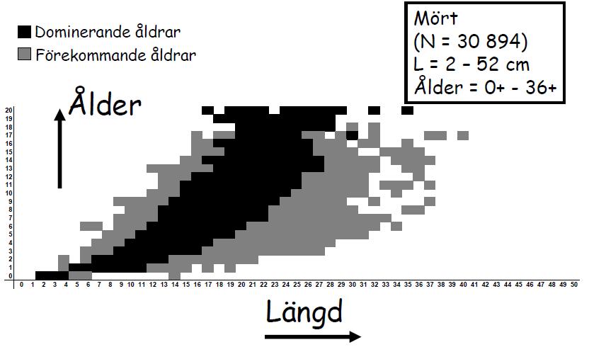 Tabellerna används i rapporten för att ge en indikation på om tillväxten i sjöarna är hög eller låg. Figur 18. Längdfördelning av resp.