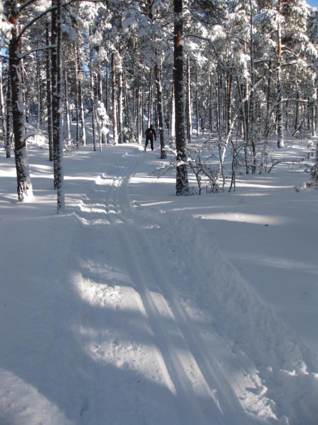 Skidor När du läser dessa rader så har vi förmodligen fortfarande någorlunda sommarväder på Mälaröarna och skidsäsongen känns kanske långt bort.