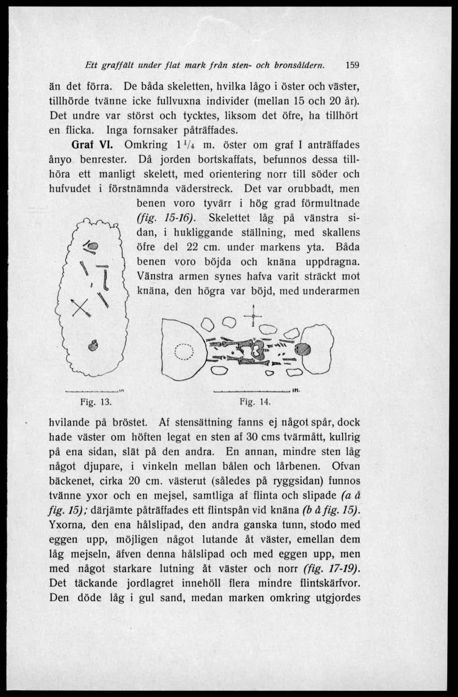 Ett graffält under flat mark från sten- och bronsåldern. 159 än det förra. De båda skeletten, hvilka lågo i öster och väster, tillhörde tvänne icke fullvuxna individer (mellan 15 och 20 år).