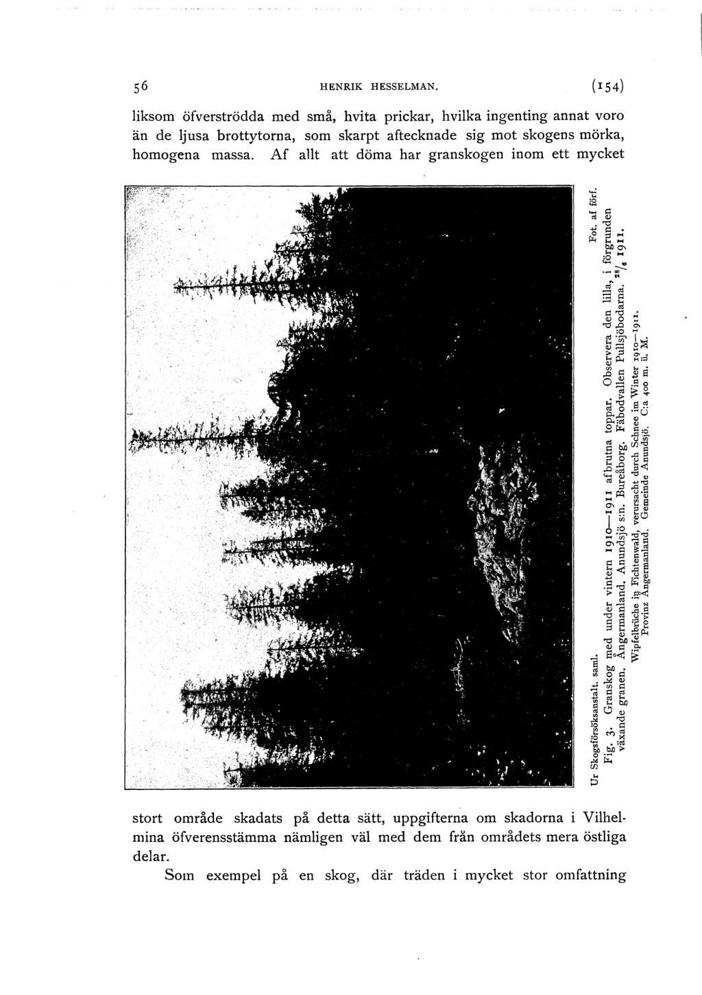 HENRIK HESSELMAN. (I 54) iksom öfverströdda med små, hvita prickar, hvika ingenting annat voro än de jusa brottytorna, som skarpt aftecknade sig mot skogens mörka, homogena massa.