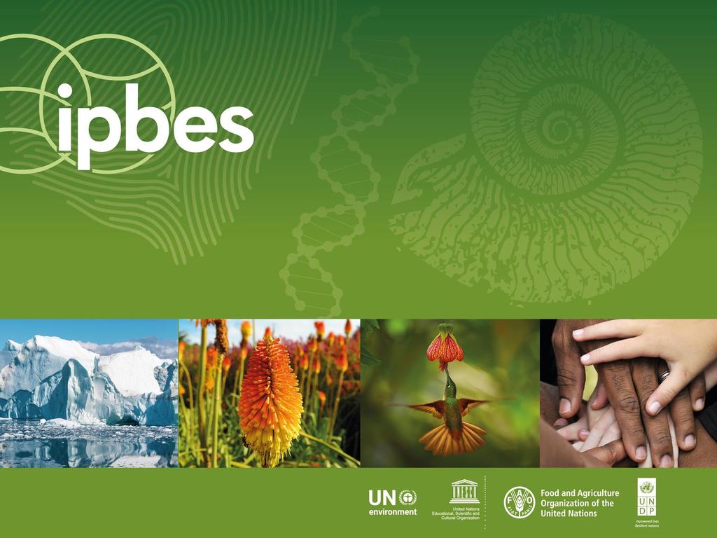 www.ipbes.