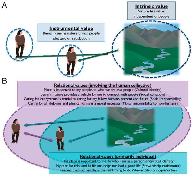 Relationella värden och Naturnyttor (Nature s Contributions to People) Relational values reflect elements of cultural