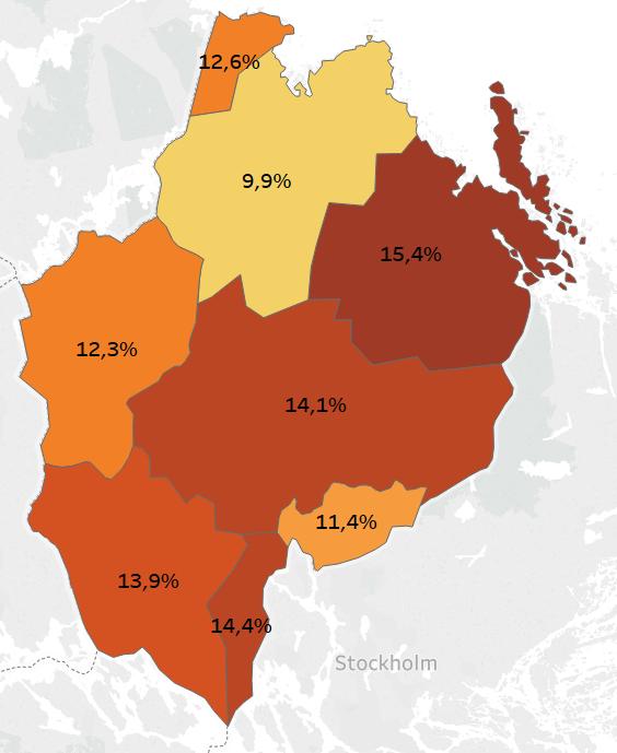 Riskkonsument av